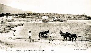 2639- Tipaza - Plage - Quai - Colline des Temples - 1916